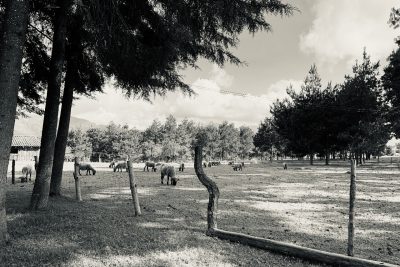 1ecf9516-02d4-4938-adb3-1f20146427d9