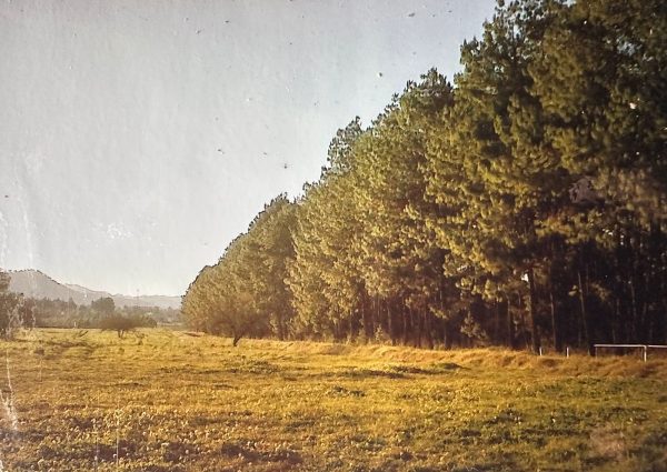 WhatsApp Image 2025-05-28 at 07.39.37 (1)